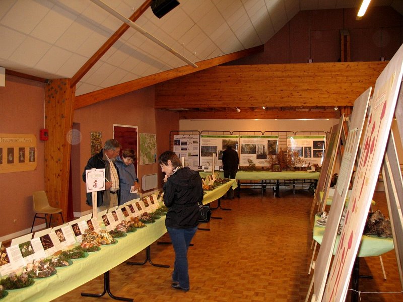 2009 10 Expo champignons de Clairefontaine 19